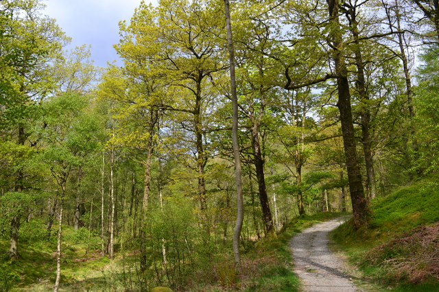 Footpath near Hogs Earth leading to Ashness Wood