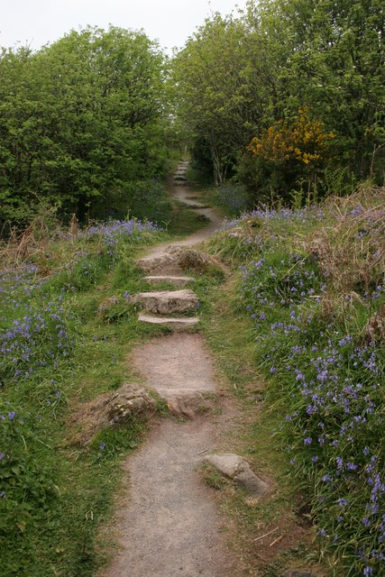 Footpath leading to the Jubilee path