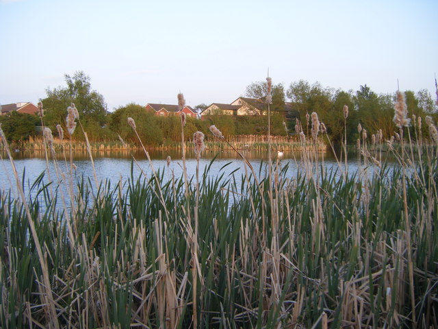 Annitsford pond