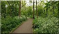 Path through Aylestone Holt