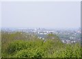 SO9294 : Wolverhampton Skyline by Gordon Griffiths