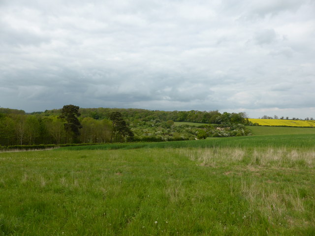 Grimsthorpe landscape