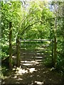 Footpath to Tinkershill Wood