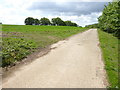 Looking along road on perimeter of Petersfield Golf Course