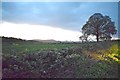 View from Leek Old Road