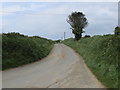 Road near Halonoeth