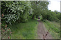 Mouldon Hill Country Park path