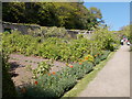SS2424 : Walled Vegetable Garden - Hartland Abbey by Betty Longbottom