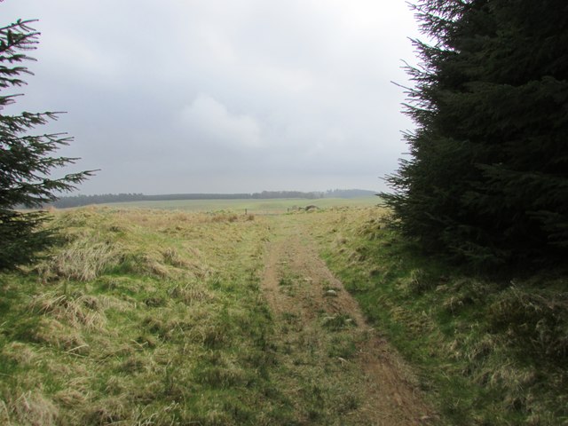 Path to West Feal farm, Lomond Hills