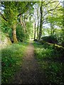 Footpath above Kippford