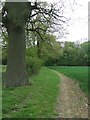 Footpath And Field Boundary