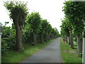 Church Walk, Watton