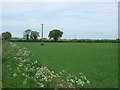 Field off Broadmoor Road