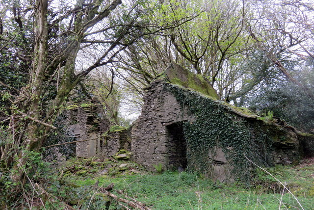 Another look at the ruin of  Panteg farm