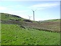 On the slopes of Moel Gwern Nannau