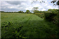 Path towards Packhorse Lane