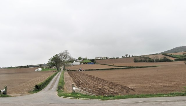 Farm road linking the A21 and Moat Road