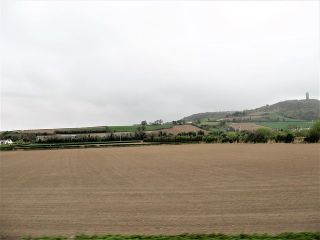 Arable land between the A21 and Scrabo Hill