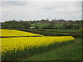 View towards Blakesley