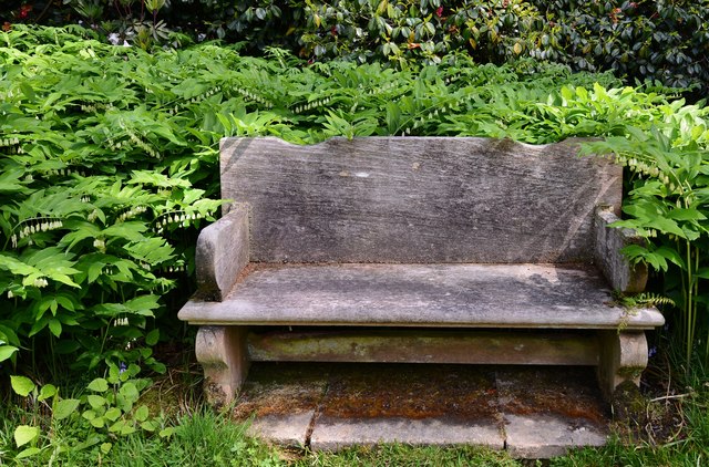 High Beeches Garden: The Oak Seat