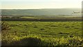 Towards Ringford Farm