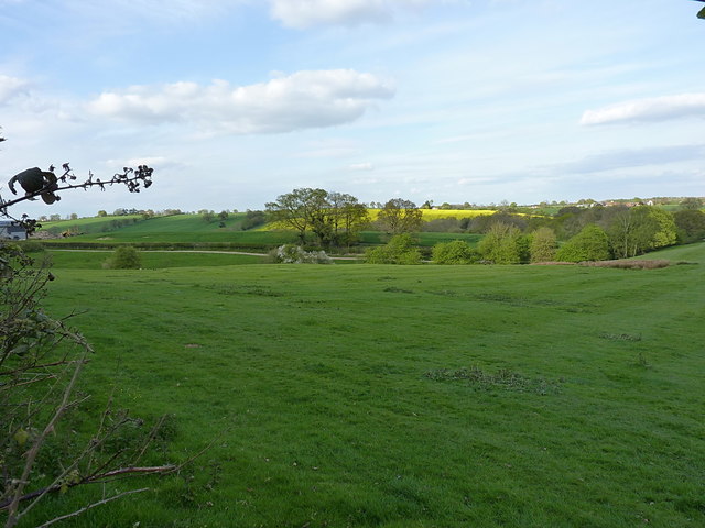 Farmland east of Millfields Way