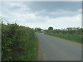 Golf Links Road towards Morley St. Botolph