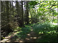 The Hiraethog Trail leaving Llangwm