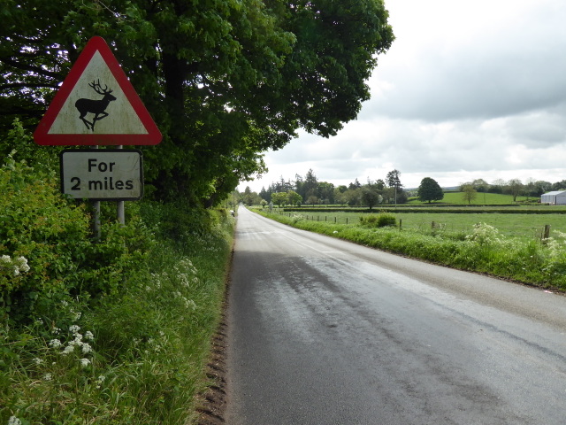 Deer warning sign, Knockmany Road
