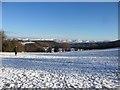 Snowy stroll near Cyffylliog