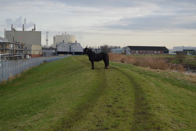 Equine obstacle, Wilberforce Way