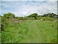 Durlston, footpath