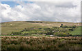 Moorland with rushes north of Farney Shield