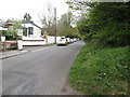 The Old Belfast Road from the entrance path to Scrabo Park