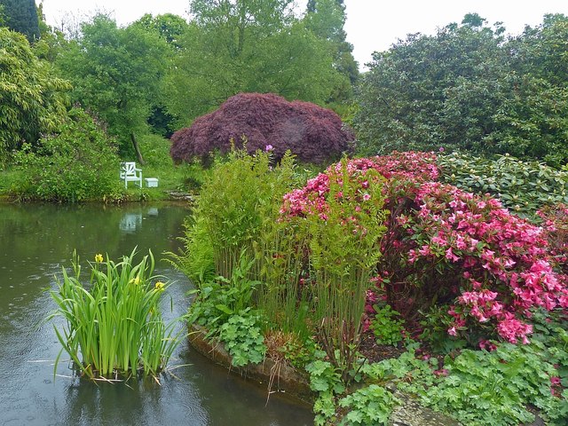 The Golden Orfe Pond, Chartwell © Robin Drayton cc-by-sa/2.0 ...