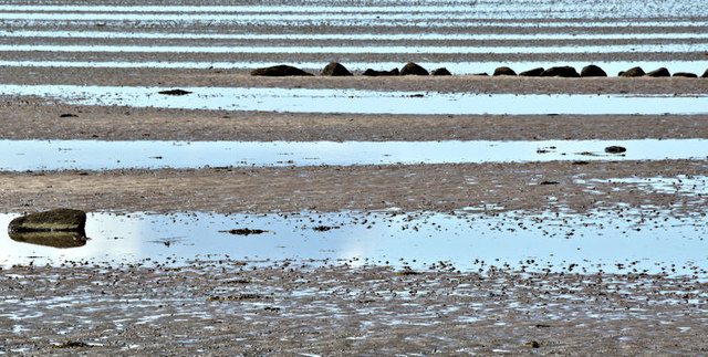 Inter-tidal mud, Strangford Lough, Greyabbey (May 2017)