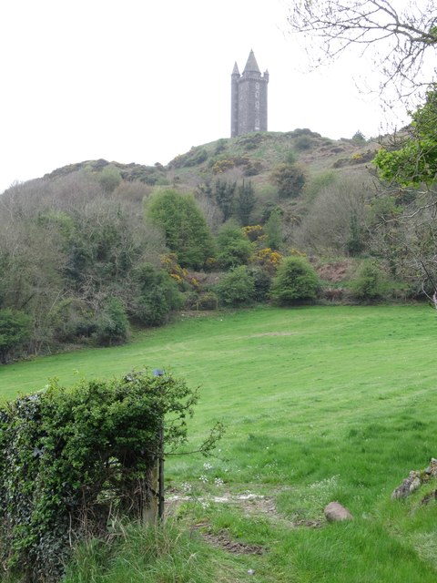 Scrabo Tower from Scrabo Road