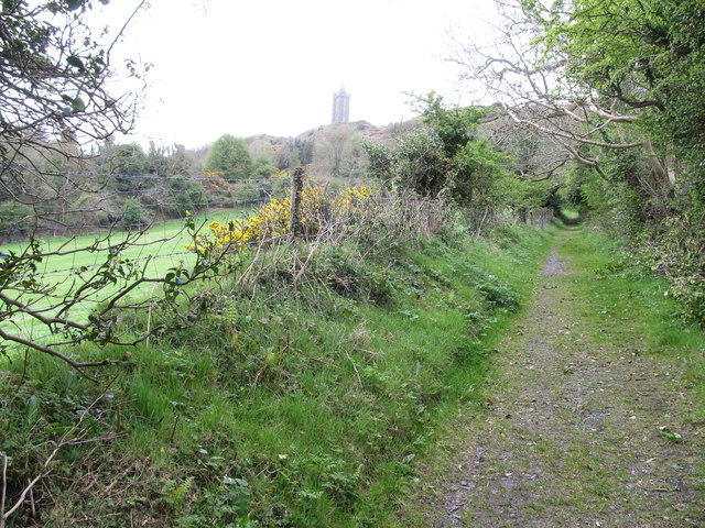 Scrabo Tower from the Scrabo Road path