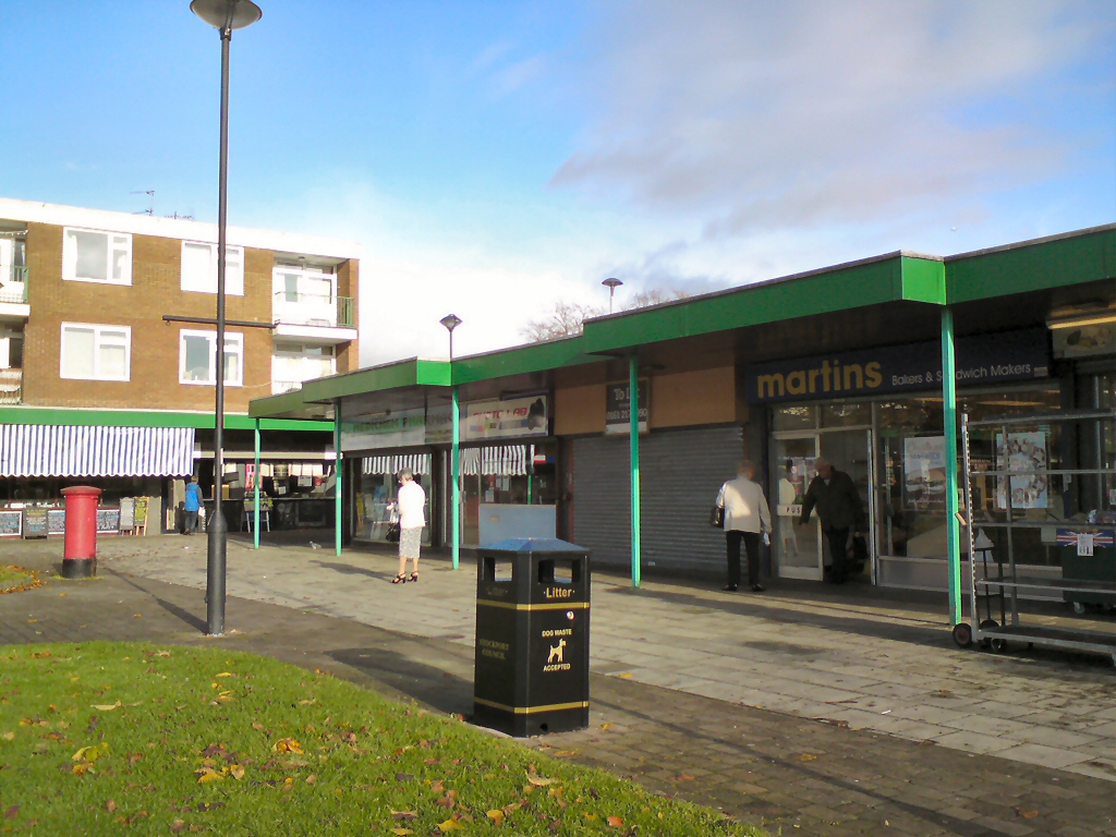 shops-in-woodley-precinct-gerald-england-geograph-britain-and-ireland