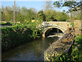 River Sheppey, Lower Godney