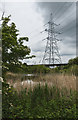 Wetland, a pylon and the M56