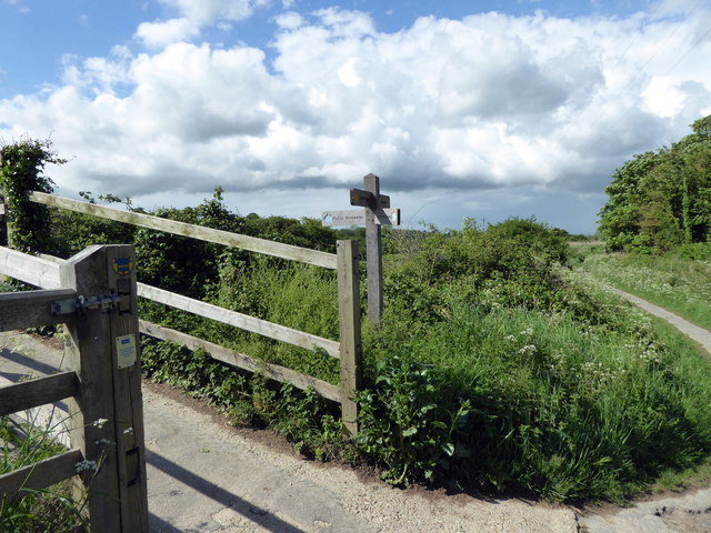 Footpath Junction with South Downs Way