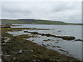 Shoreline of Bay of Firth