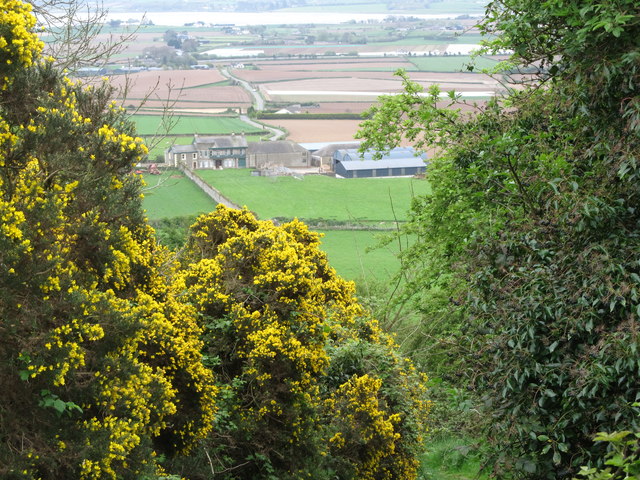 Alexandra House Farm viewed from Scrabo Hill