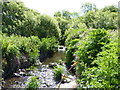 Stream near Lochvane, Pembrokeshire