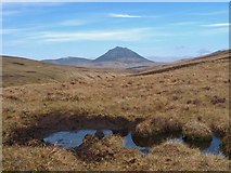 ND0322 : Boggy pool on moorland below Cnoc Allt na Beithe, Caithness by Claire Pegrum