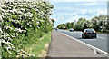 The Moira Road, Ballylacky, Moira/Ballinderry (May 2017)