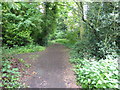 Footpath to Hall Lane