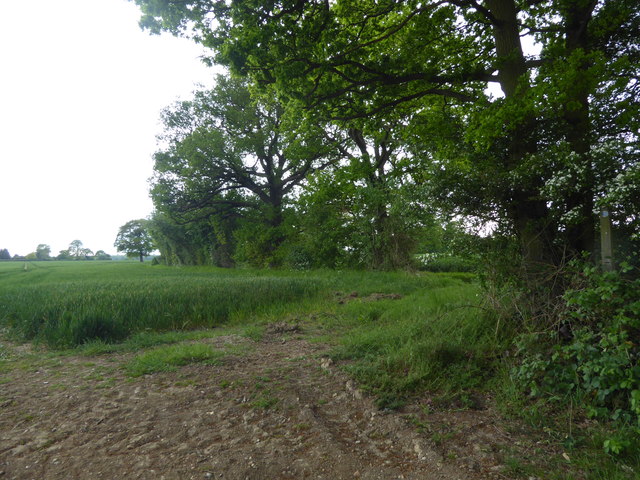 Footpath from Mountnessing Churchyard