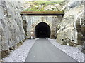 Dinas Tunnel, Tregarth